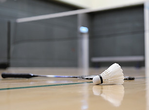 Shuttlecock and Badminton Racket