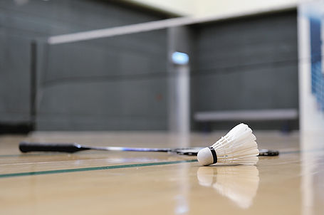 Shuttlecock and Badminton Racket