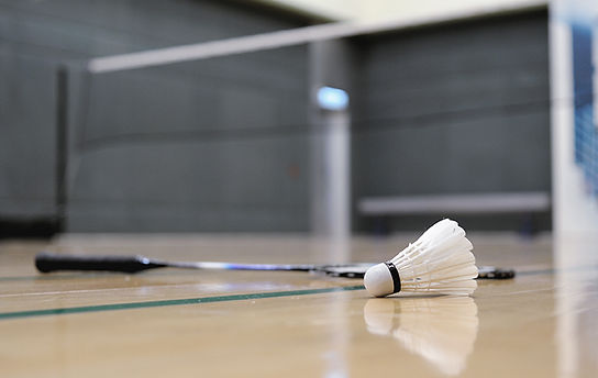 Shuttlecock and Badminton Racket