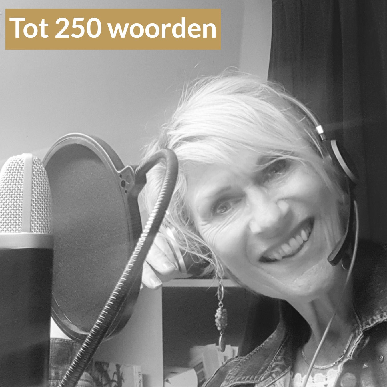 Voice-over opname tot 250 woorden