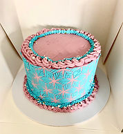frozen cake.jpeg