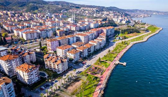 Kocaeli web tasarım, SEO ve nöromarketing odaklı dijital çözümler - Purple Web Designing