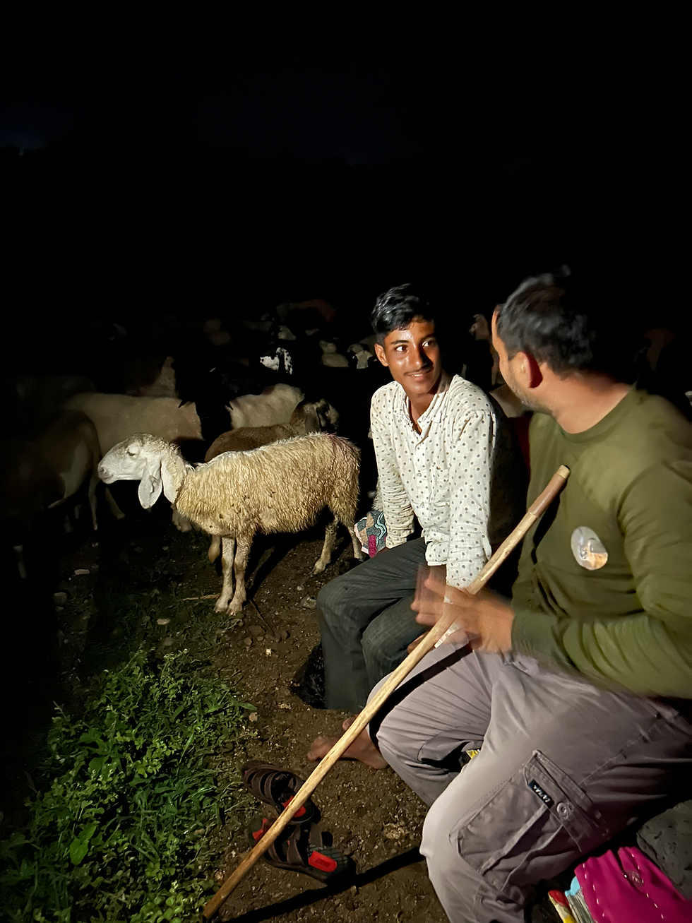 Two men conversing among sheep at night