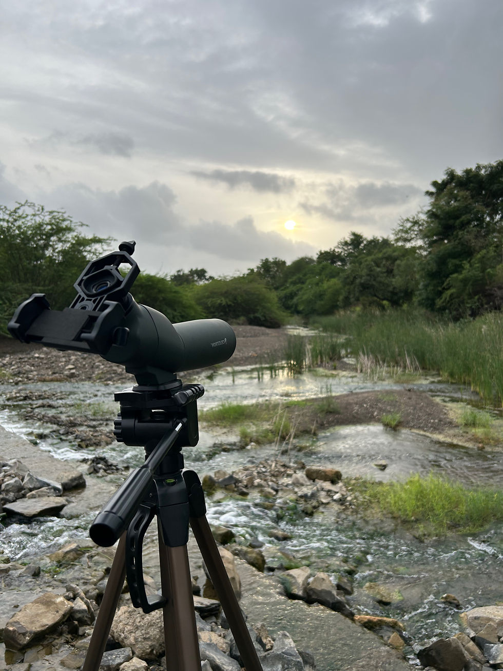 Spotting scope observing a natural habitat for Caracal Conservation.