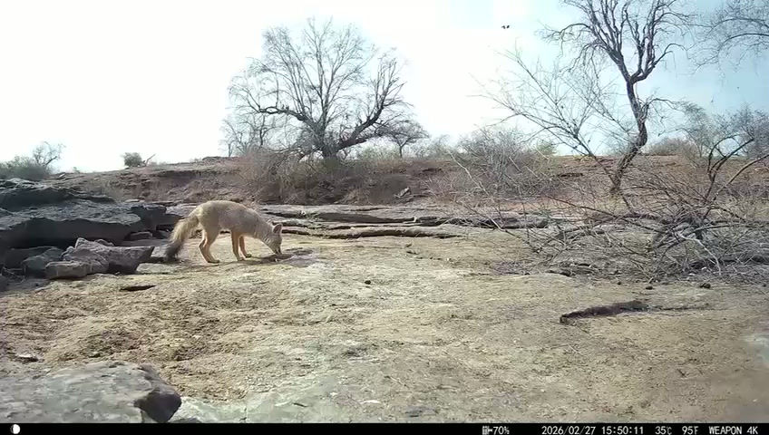 VIDEO-2026-03-27-22-23-58.mp4