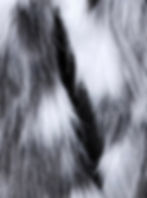 Thumbnail: Marbled Fur Jacket