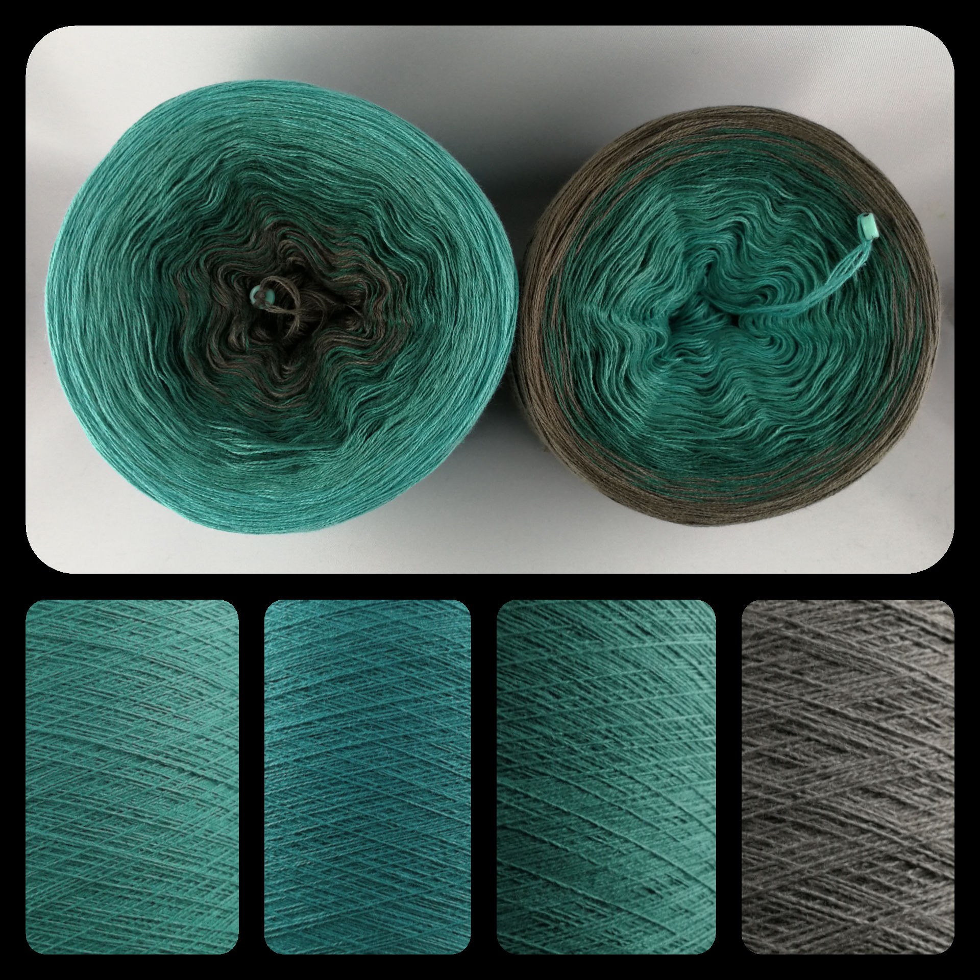 Smaragdschildkröte 50/50