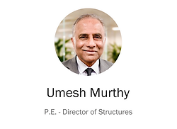 Umesh Murthy.png