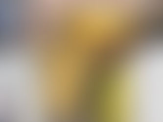 Alcalde Mario Torres y Regidores del Ayuntamiento de Medina participan en conferencia sobre la nueva Reforma Fiscal.