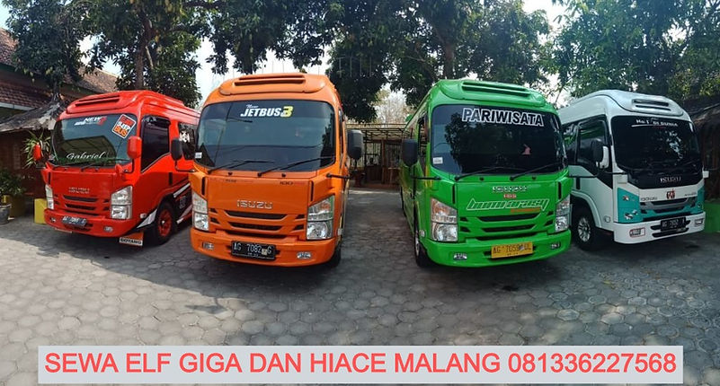elf giga skytravelink_edited.jpg