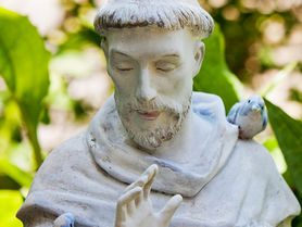 Rector's Reflection: Found in the World, October 4, 2025