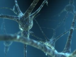 Neurona