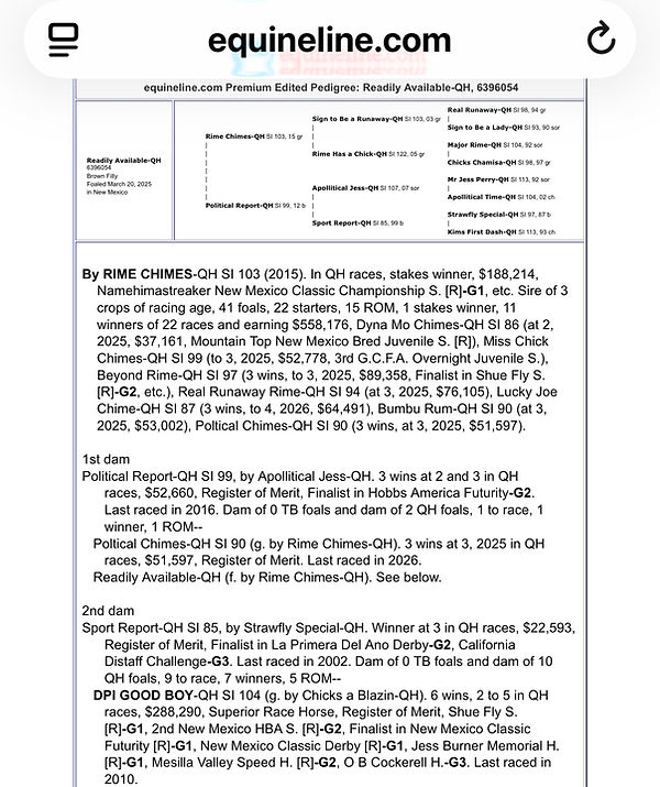 equineline Report (Readily Available-QH, 6396054)_edited.jpg