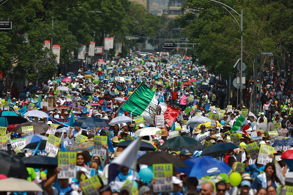 Parte de la manifestaci+on provida del 18 de mayo de 2019
