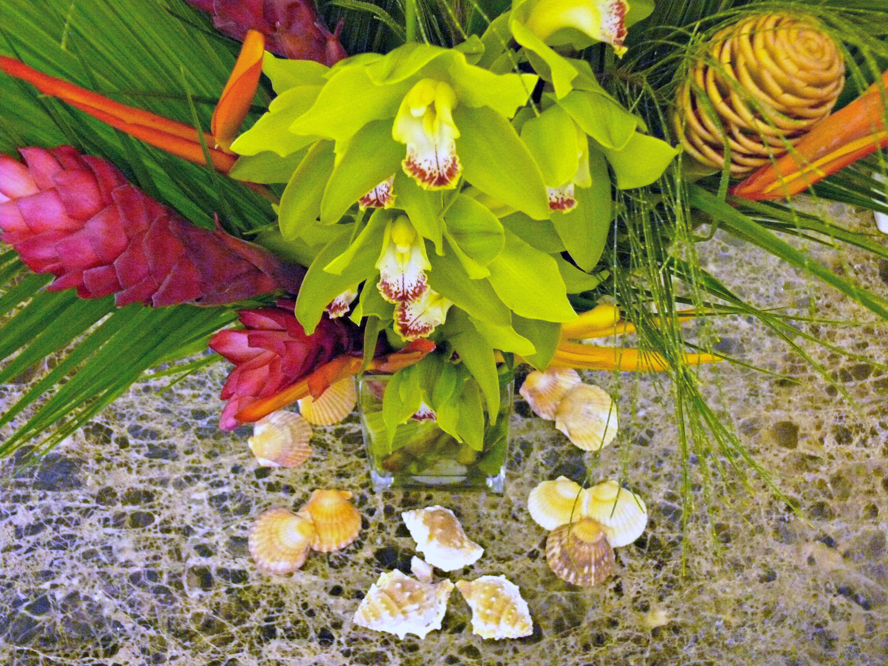 "Twister in the Tropics" Wedding