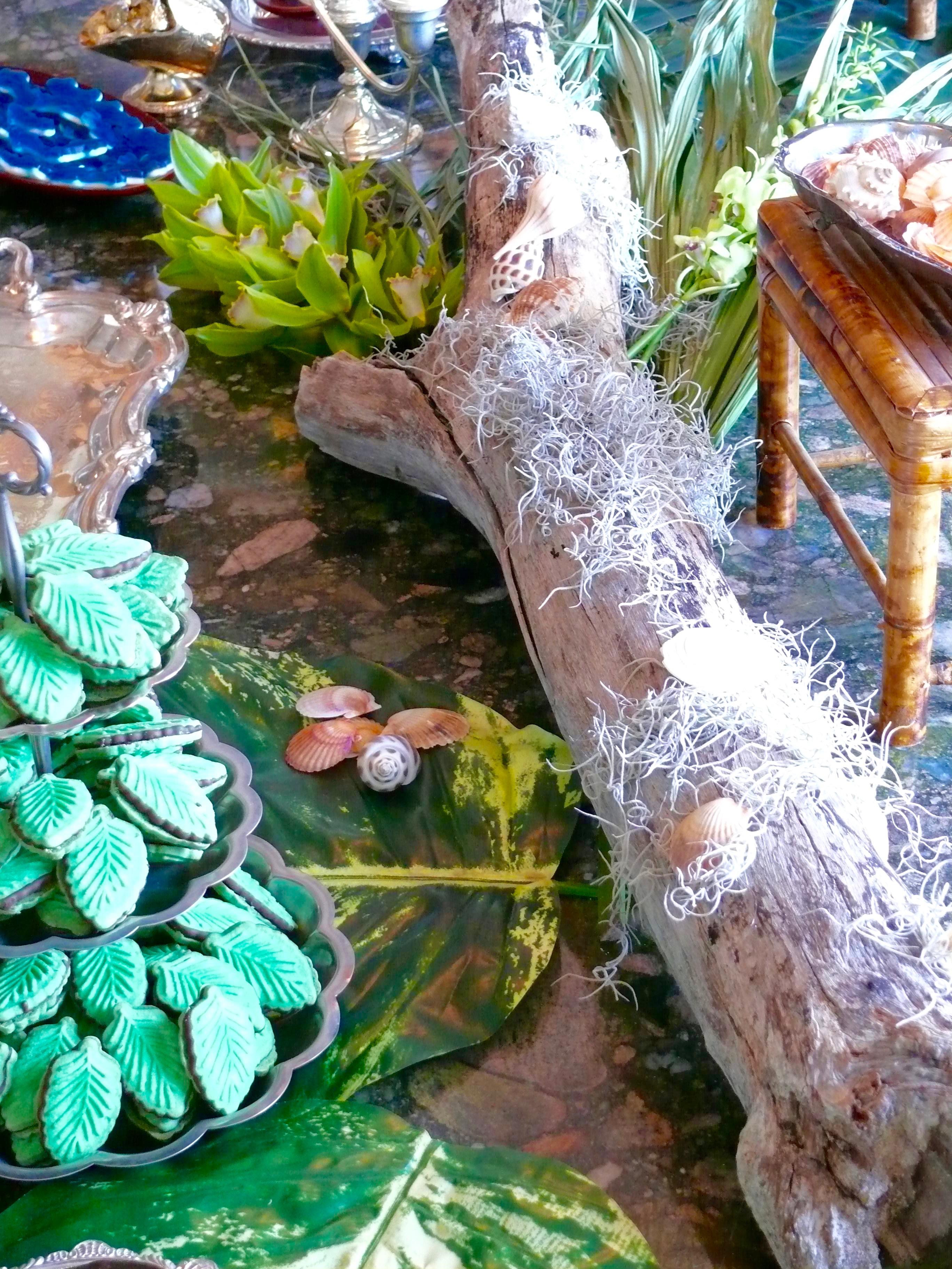 "Twister in the Tropics" Wedding