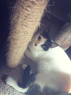 72970454_410714563184061_113728777210979