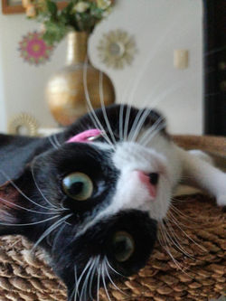 thumbnail_IMG20220804143401