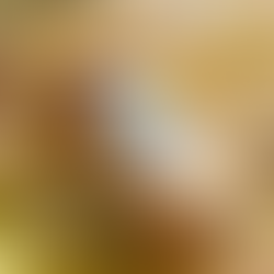 麥研茶所現於HKTVmall及士多Ztore有售