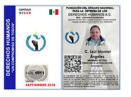 CRDENCIAL saul ddh.jpg