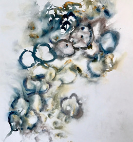 Tadpoles 3