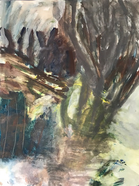 Temperate Grace 2