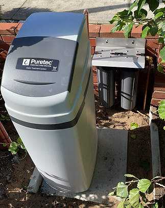 2. ws anf wf (3).png