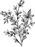 flower-161651_1280.png