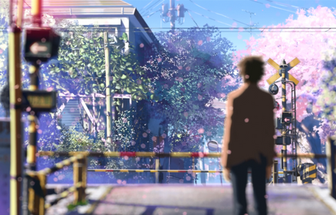 Скорость лепестков сакуры