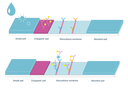 laterflow_画板 1.png