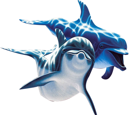 Antalya Aksu Dolphinarium