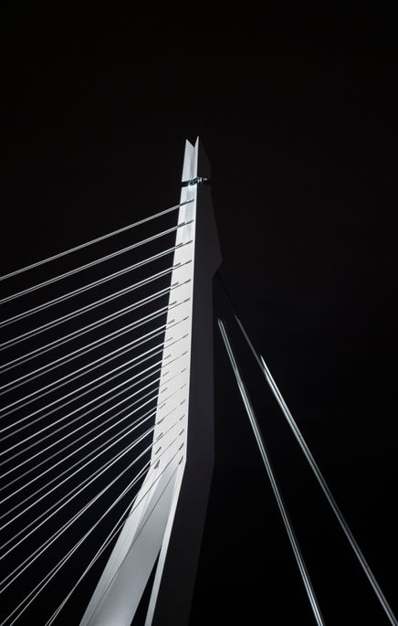 erasmusbrug_05.jpg