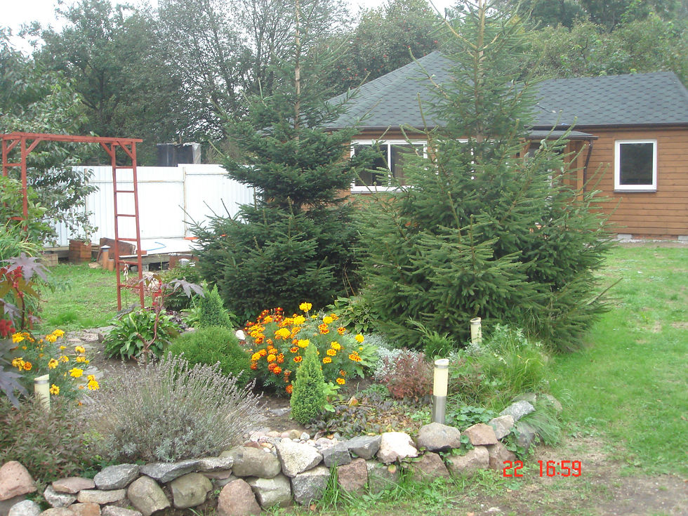 DSC05370