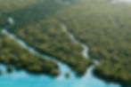sustainability image.jpg