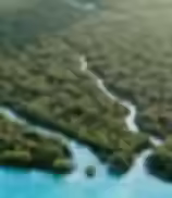 sustainability image.avif