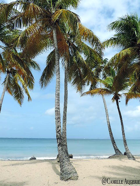 Plage Saint Anne_.jpg