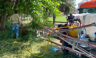 Brush Control & Growth Regulator