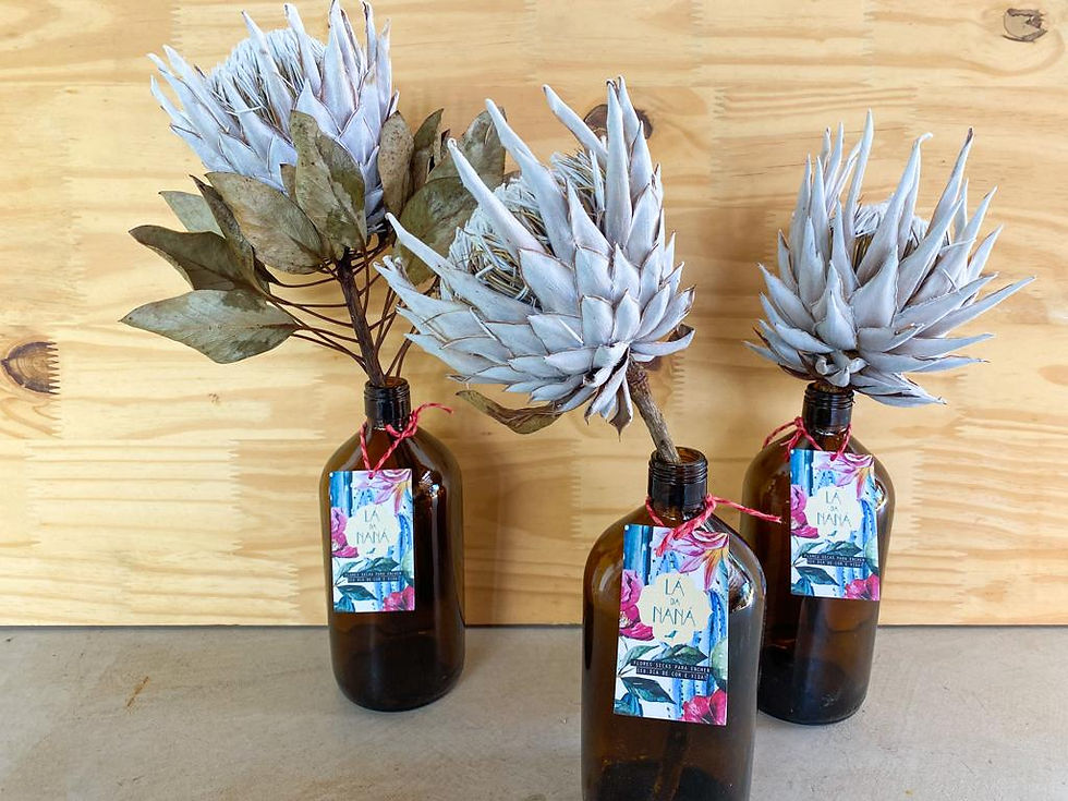 Miniatura: garrafa âmbar 1 litro+ protea cynaroides