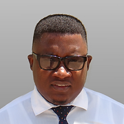 NekongoWeb.png