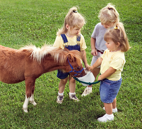 Pony Love