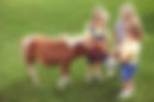 Pony Love
