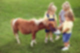 Pony Love