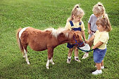 Pony Love