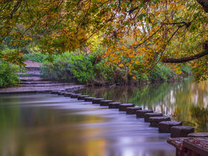 Stepping Stones
