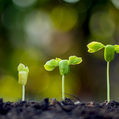 Is it time for your VA business to grow?