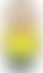 Two Sides of Regrets