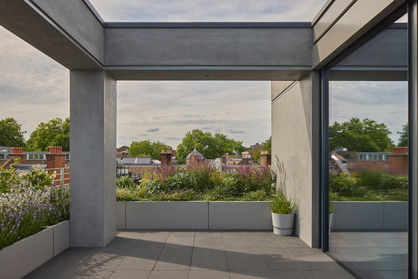 Looking through the pergola-framed terrace at Clerkenwell Rooftop, past the terrace planting towards the surrounding rooftops of Clerkenwell.