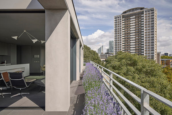 On the terrace, with the full-height sliding glazing stacked out of sight to the side, rendered columns separate the open-plan living space from the terrace, with lavender planting along the building edge at Clerkenwell Rooftop.
