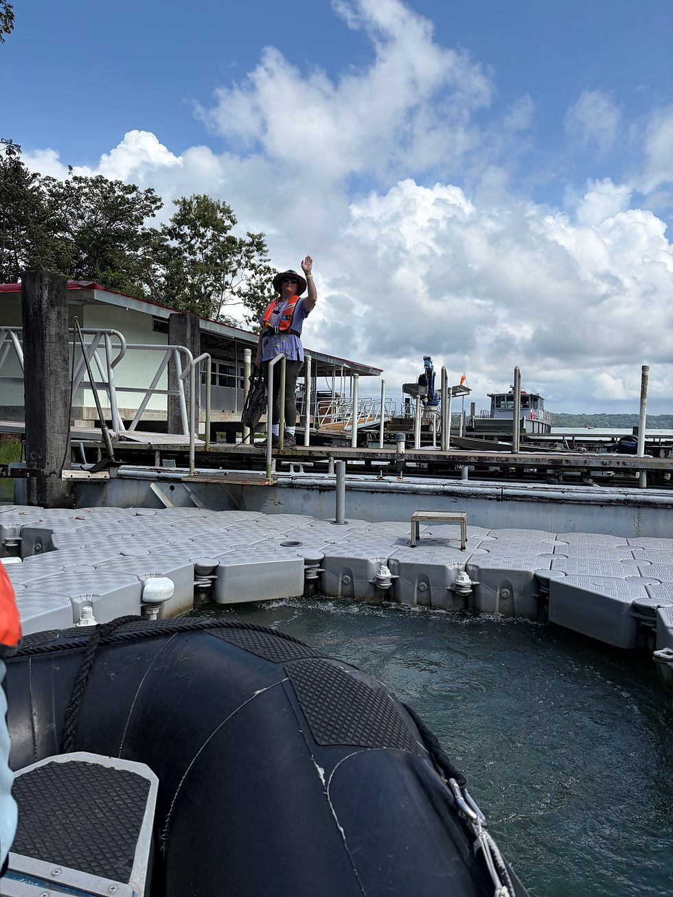 No, please--I'll take the next boat. Take my family the hell away from me!