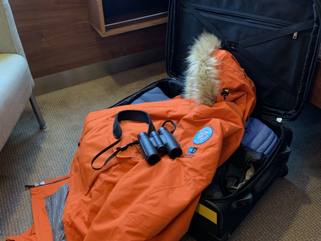 Solo Traveler
